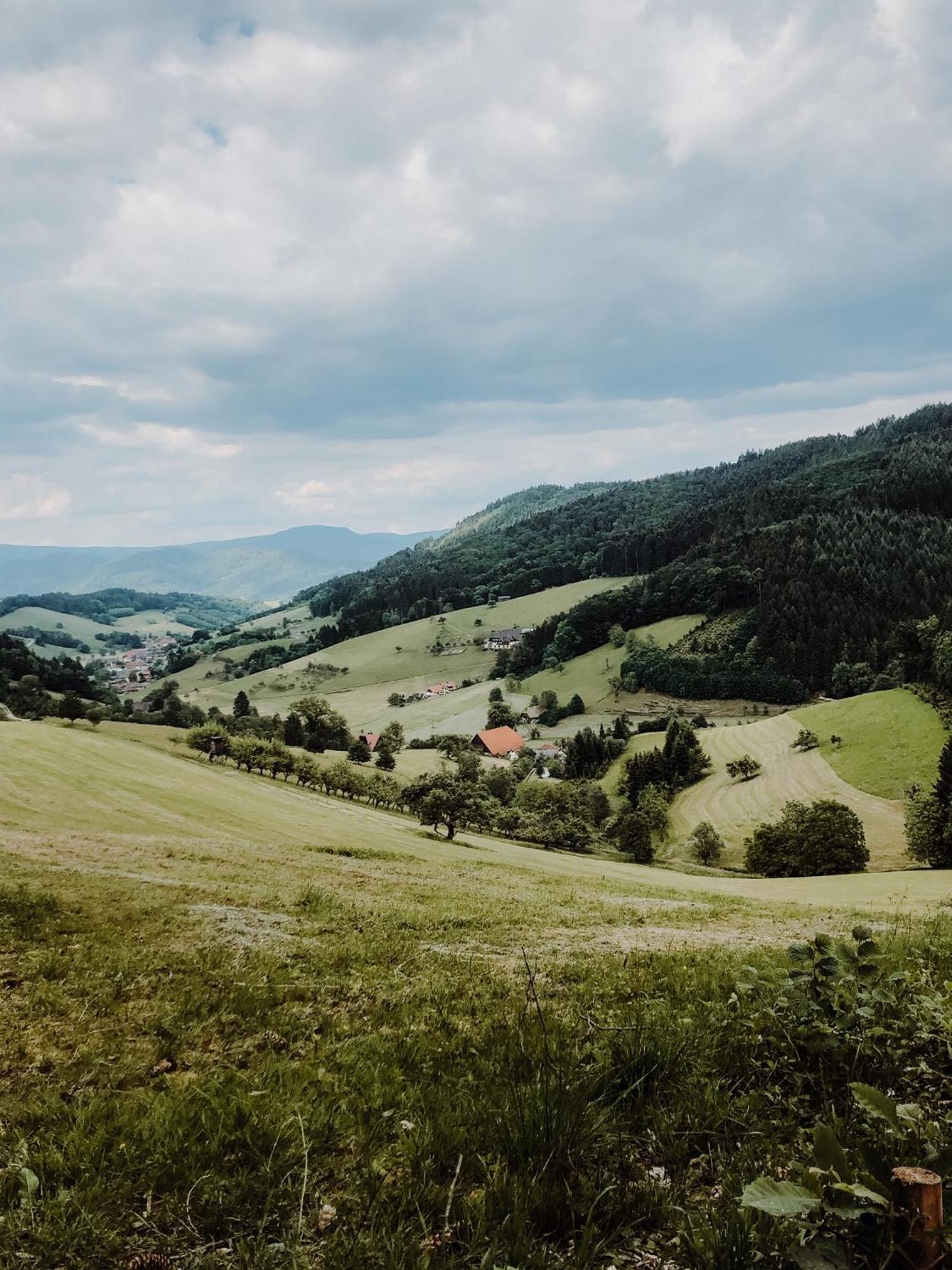 Hotel Badischer Hof Биберах Экстерьер фото